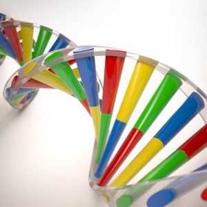 DNAメソッドの２重螺旋