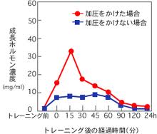 成長ホルモン濃度の図