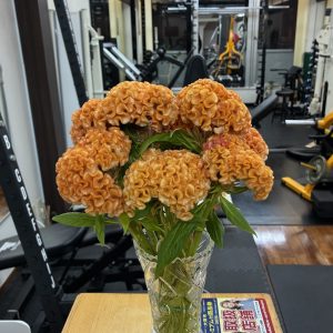 館内内観