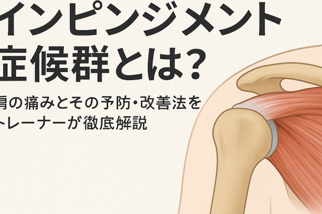 肩関節の解りやすい画像