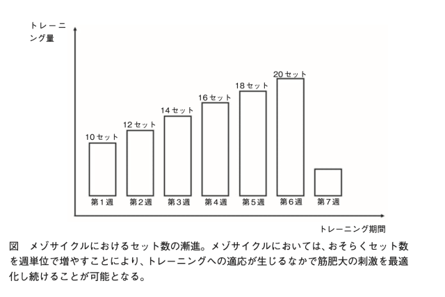 トレーニング総量の表