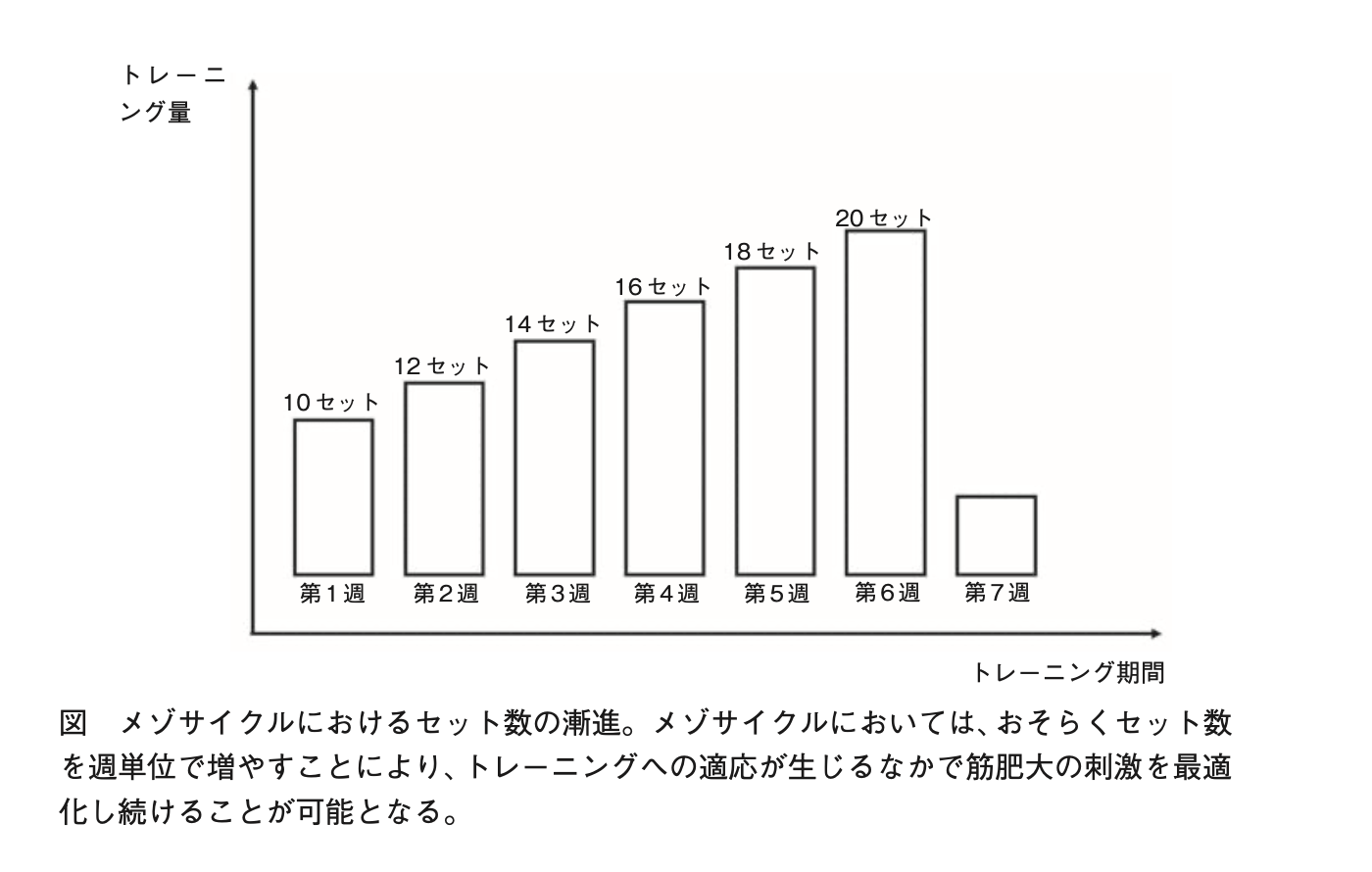 トレーニング総量の表