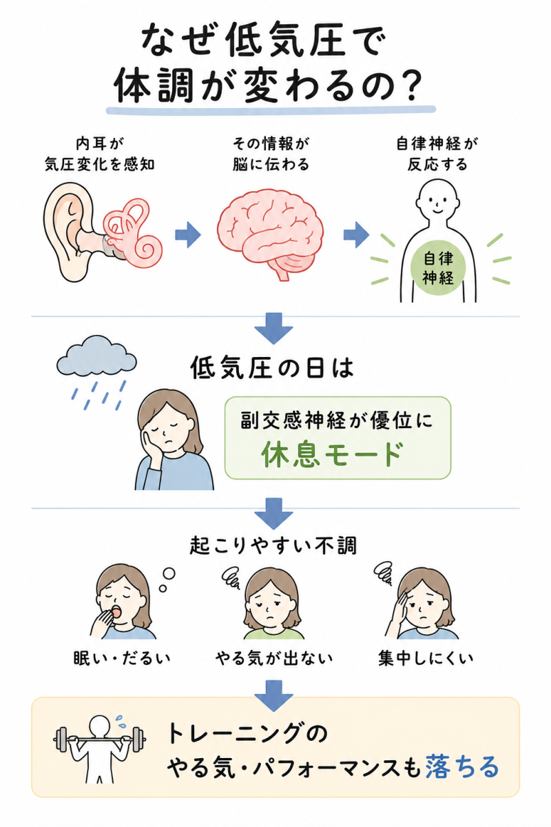 なぜ低気圧で体調が変わるか、のイラスト